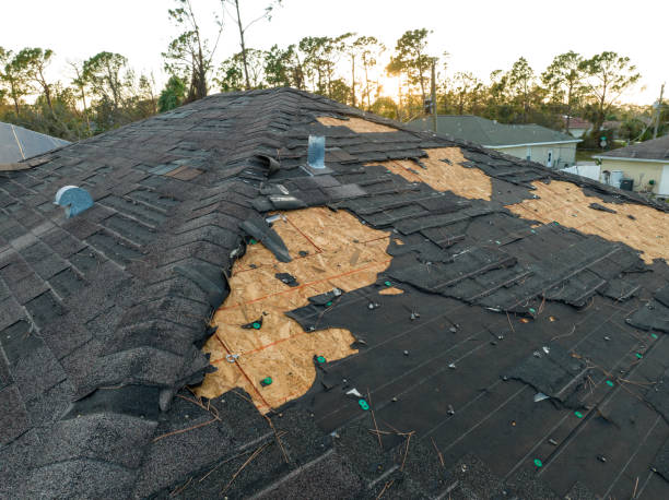 Best Metal Roofing Installation  in Truckee, CA